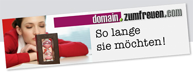 miet domain nutzungsdauer